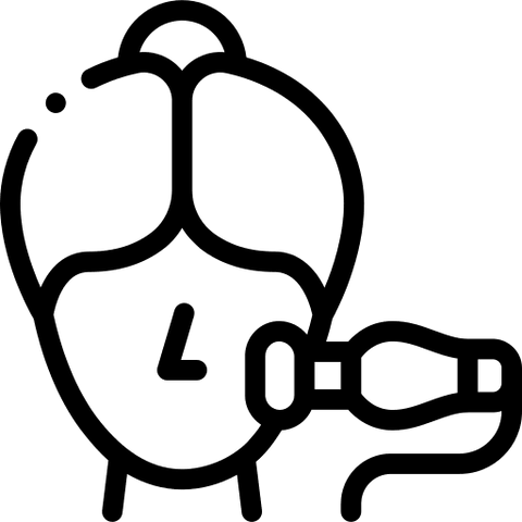 Aparāti