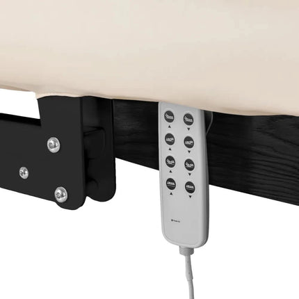 SILLON Relax SPA gultas smėlio ir juodų spalvų kombinacija moderniam salonui