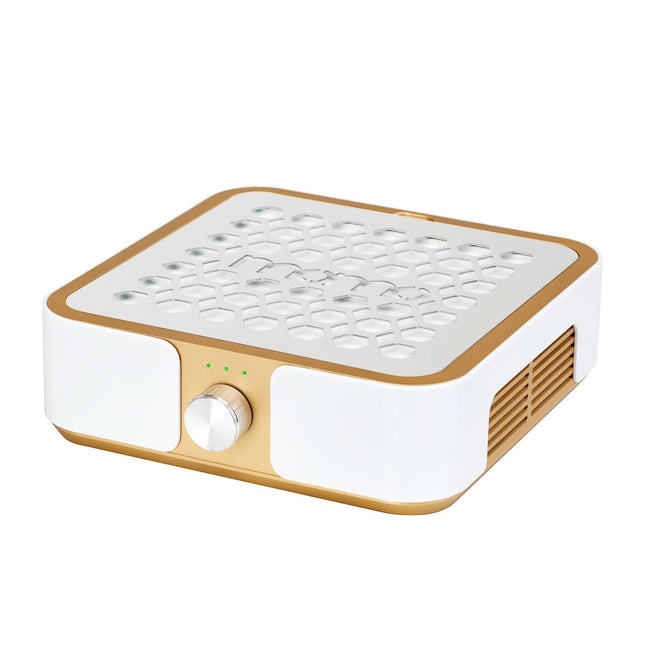 Putekļu nosūcējs MOMO P30 60 W, zeltains