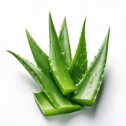 Profesionalus ARCOCERE kasetinis depiliacinis vaškas su aloe vera – idealus jautriai odai manikiūro ir depiliacijos studijoms