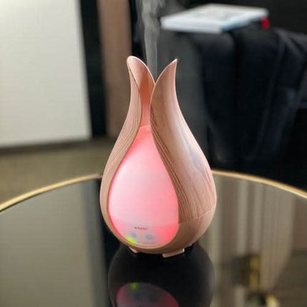 Grožio salono aromaterapijos difuzorius su integruota lempa ir oro jonizavimu