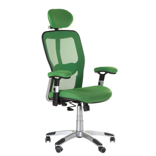 BS CorpoComfort BX-4147 ergonomiška biuro kėdė žalia – ilgalaikio komforto sprendimas profesionaliam darbui