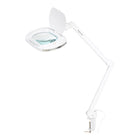 Kosmetologinė LED lempa-lupa ELEGANTE 6030 su spaustuvu, balta