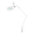 Kosmetologinė LED lempa-lupa ELEGANTE 6031 3D su spaustuvu, balta