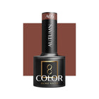 OCHO NAILS hibridinis nagų lakas AUTUMN A05 5g – intensyvios pigmentacijos ilgalaikis hibridinis lakas nagų stilistams